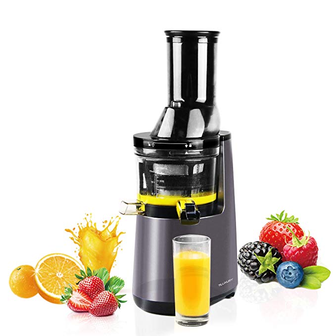 HYD-Parts Slow Masticating Juicer extractor with Low Speed Wide Chute Anti-Oxidation Vertical Cold Press Juicer (40 RPMs, 3