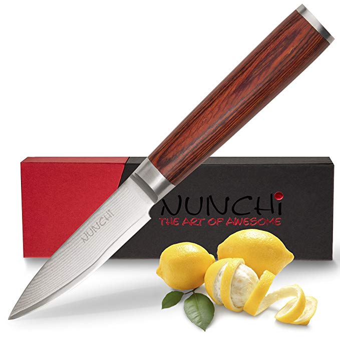 Professional Paring Knife, 4 inch with Japanese VG-10 Stainless Steel - Ultra Sharp Kitchen Knives with a Stunning Damascus Blade and No-Slip Pakkawood Handle